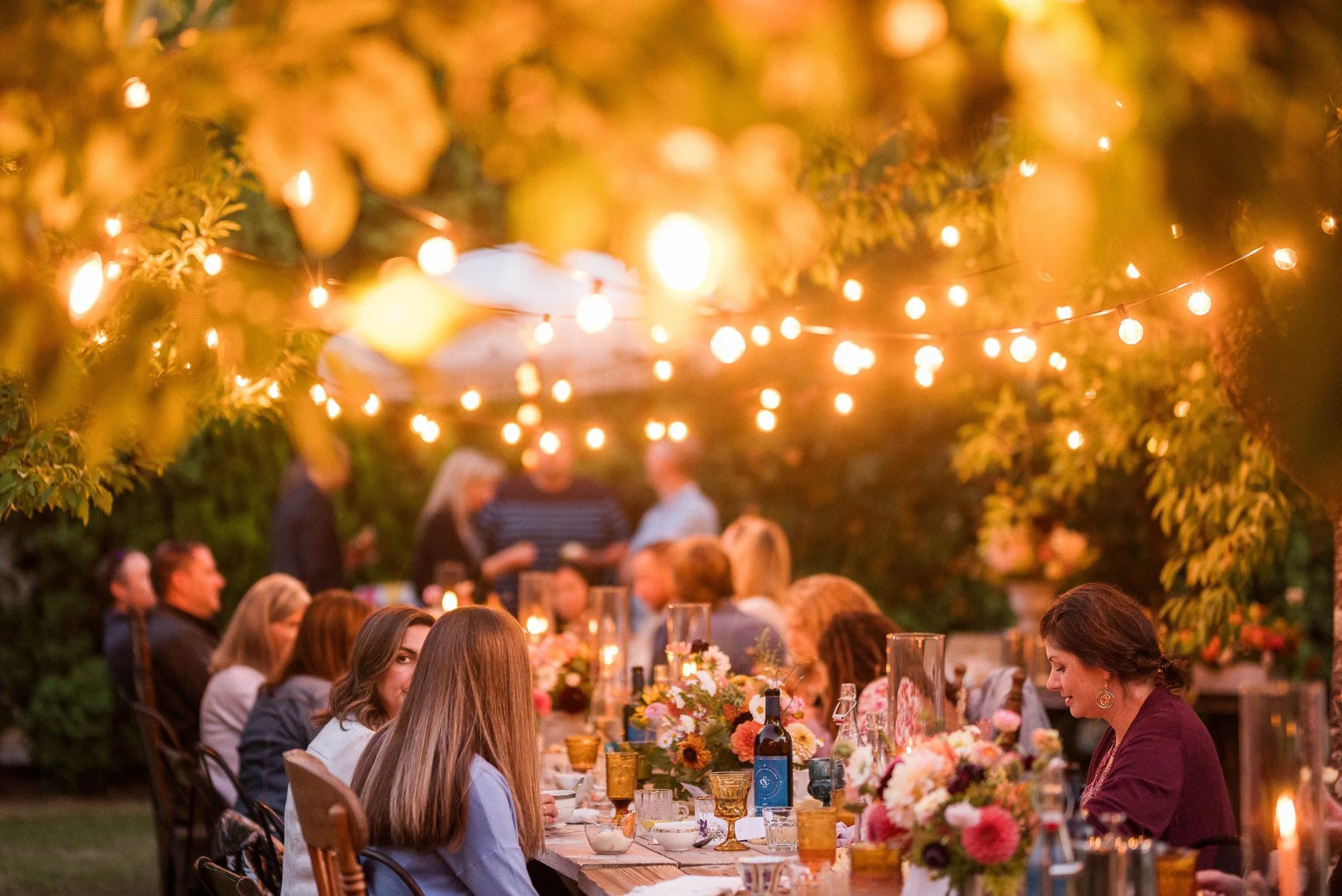 Golden outdoor dinner gathering beneath string lights among citrus trees